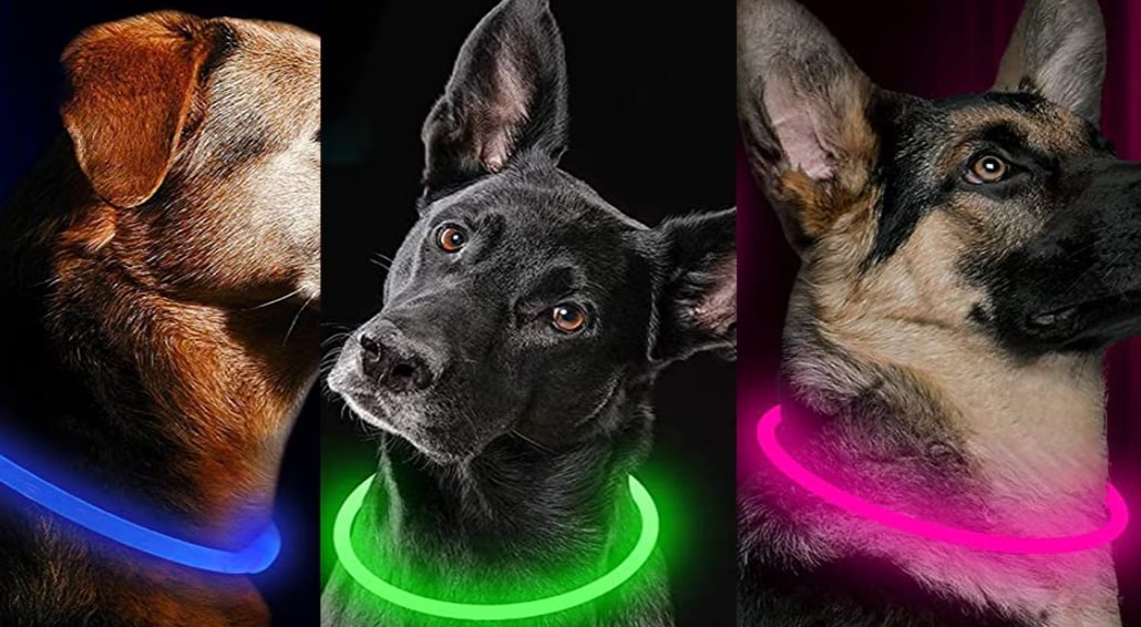 LED Dog Collar